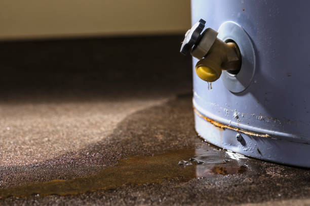 Best Flood damage cleanup  in Central Point, OR