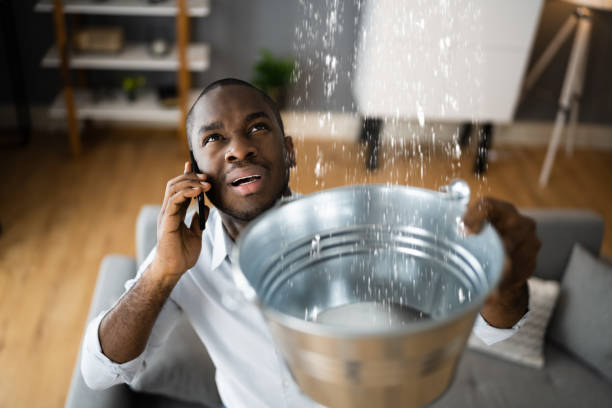 Best Carpet water damage restoration  in Central Point, OR