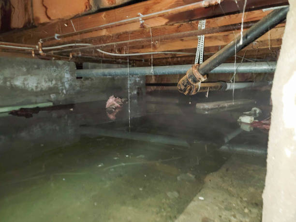 Best Carpet water damage restoration  in Central Point, OR