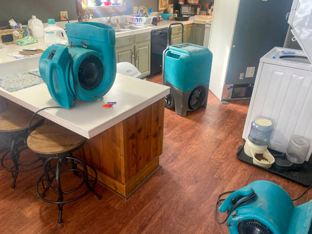Best Fire Damage Restoration  in Central Point, OR