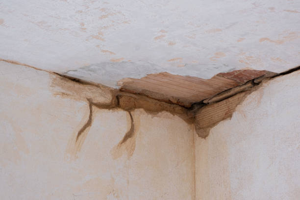 Best Water damage restoration near me  in Central Point, OR