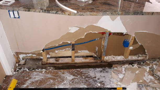 Best Professional water damage repair  in Central Point, OR