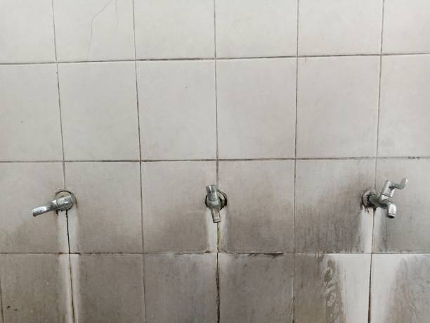Best Mold removal after water damage  in Central Point, OR