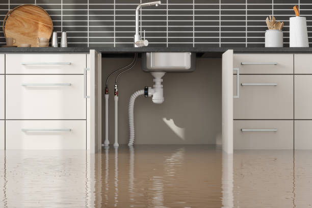 Water damage restoration mold remediation in Central Point, OR