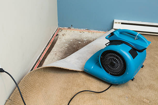 Best Emergency water damage restoration  in Central Point, OR